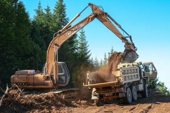 Wombet Casino Support